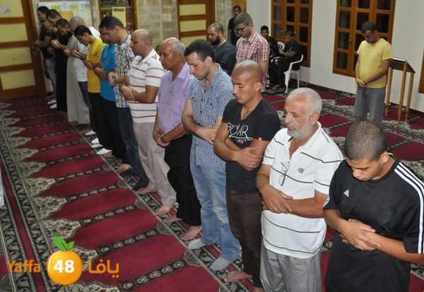 msajed amer qder 804 (20).JPG